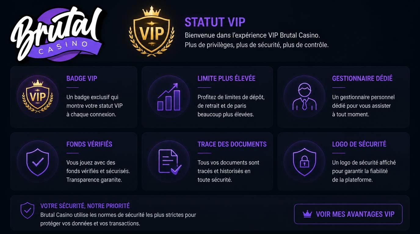 image représentant les avantages VIP liés aux dépôts, tout en soulignant les contrôles réglementaires